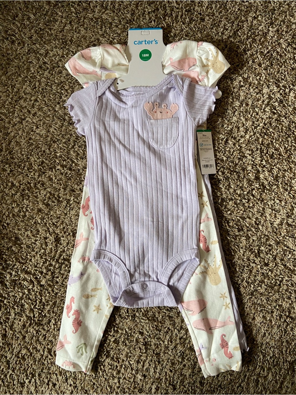 Carter's Onesie with matching bottom